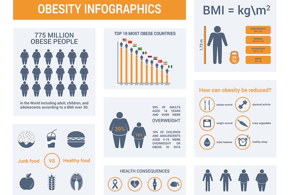 Obesity Infographic Chart